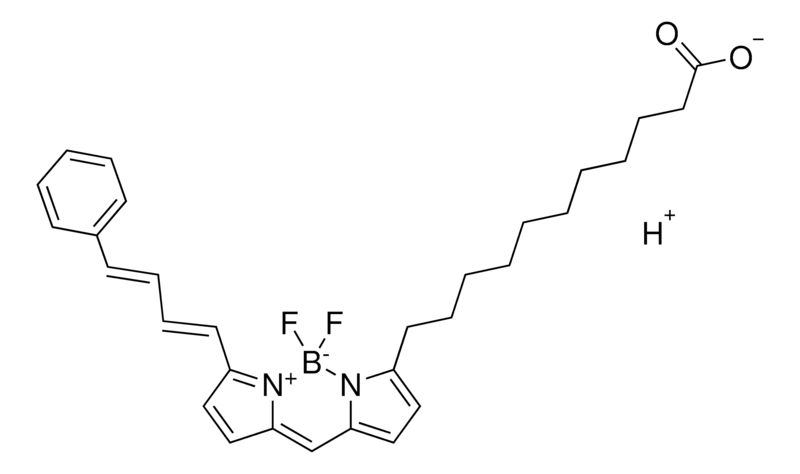 BODIPY 581/591 C11 （脂质过氧化传感器）