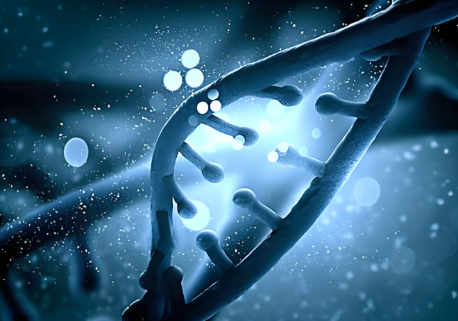 生物小分子
